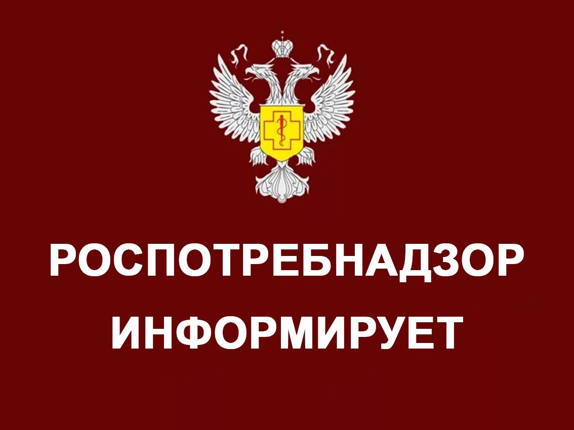 Информация для граждан о профилактике бешенства.